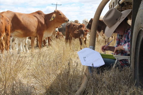 Longreach School Of Distance Education - Accommodation Port Hedland 2