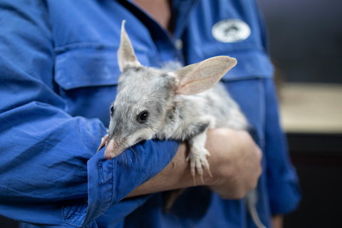 Matilda Way - Accommodation Port Hedland 2