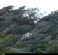 Mount Yarrowyck Nature Reserve - Accommodation Port Hedland