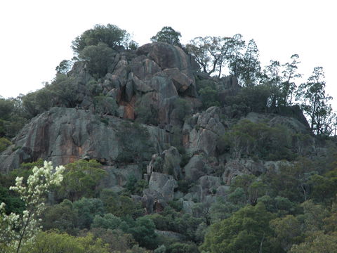 Mount Yarrowyck Nature Reserve - Accommodation Port Hedland 0