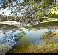 Murray Valley National Park - Accommodation Port Hedland