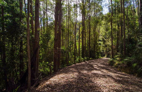 Myrtle Scrub Scenic Drive - Accommodation Port Hedland 0
