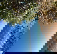 Richmond Valley Cultural Heritage Self Drive Tour - Accommodation Port Hedland