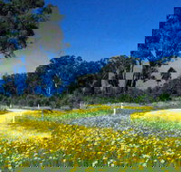 Shearer's Way - Accommodation Port Hedland