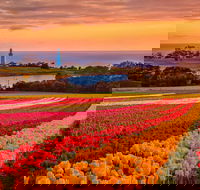 Table Cape - Accommodation Port Hedland