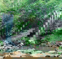 Tamborine National Park - Accommodation Port Hedland