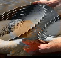Tuena Panning for Gold - Accommodation Port Hedland