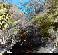 Waterfall Walk Kanangra-Boyd National Park - Accommodation Port Hedland