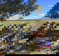 Alpaca Magic Stud - Accommodation Port Hedland