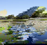 Anderson Park Botanic Gardens - Accommodation Port Hedland
