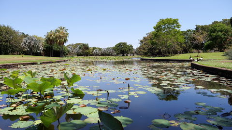 Anderson Park Botanic Gardens - Accommodation Port Hedland 0