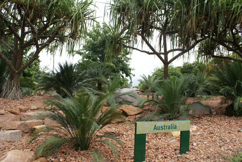 Anderson Park Botanic Gardens - Accommodation Port Hedland 2