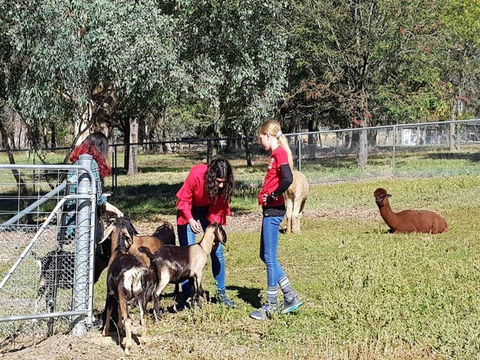 Animal Farm Visit - Accommodation Port Hedland 1
