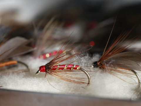 Australian Fly Fishing Museum - Accommodation Port Hedland 0