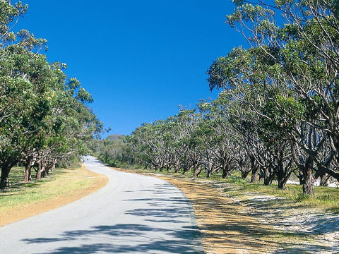 Avenue Of Honour - Accommodation Port Hedland 1
