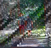 Banksia Track Burrum Coast National Park - Accommodation Port Hedland