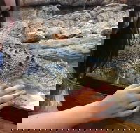 Canberra Reptile Zoo - Accommodation Port Hedland