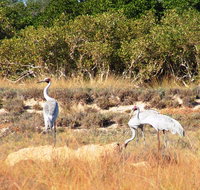 Cape Keraudren Nature Reserve - Accommodation Port Hedland