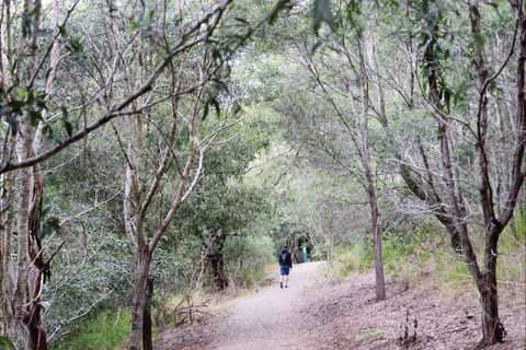 D'Aguilar National Park - Accommodation Port Hedland 2