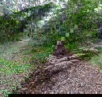 Double Wharf Trail - Accommodation Port Hedland