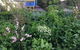 Down To Earth Permaculture - thumb 0