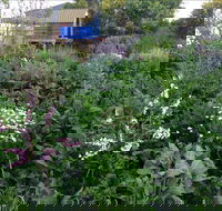 Down to Earth Permaculture - Accommodation Port Hedland