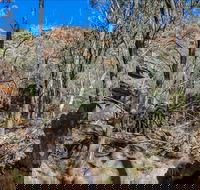 Eualdrie Walking Track - Accommodation Port Hedland