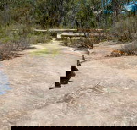Finchley Cultural Walk - Accommodation Port Hedland