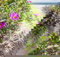 Fort Bribie - Accommodation Port Hedland