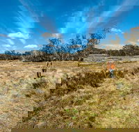 Goldseekers track - Accommodation Port Hedland