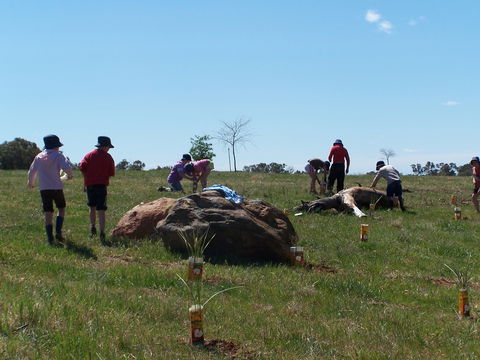 Jim Salmon  Wetland Education Site - Accommodation Port Hedland 0