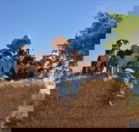 Katherine Outback Experience - Accommodation Port Hedland