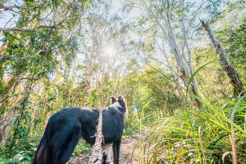 Lamb Island (Nguderoo) - Accommodation Port Hedland 1