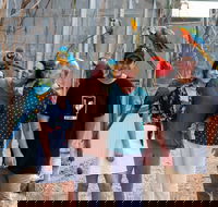 Maleny Botanic Gardens and Bird World - Accommodation Port Hedland