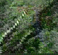 Mapleton Falls National Park - Accommodation Port Hedland