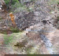 Mill-bullah Walking Track - Accommodation Port Hedland