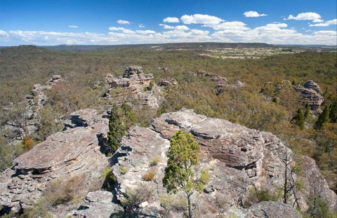Munghorn Gap Nature Reserve - Accommodation Port Hedland 0