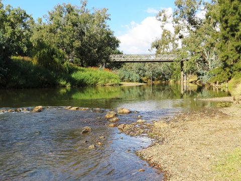 Namoi River And Woolshed Reserve - Accommodation Port Hedland 0
