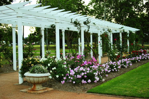 Newtown Park State Rose Garden - Accommodation Port Hedland 1