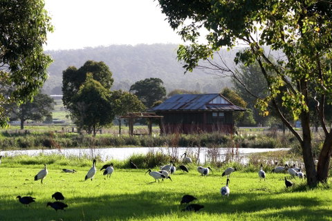 Panboola Wetlands - Accommodation Port Hedland 1