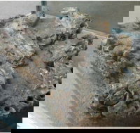 Pioneer Valley Museum - Accommodation Port Hedland