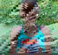 Ricardoes Tomatoes and Strawberries Farm Port Macquarie - Accommodation Port Hedland