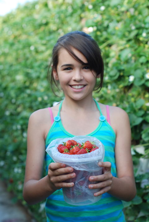 Ricardoes Tomatoes And Strawberries Farm, Port Macquarie - Accommodation Port Hedland 0