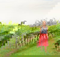 Swan Valley - Accommodation Port Hedland