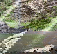 Twin Falls Circuit Springbrook National Park - Accommodation Port Hedland