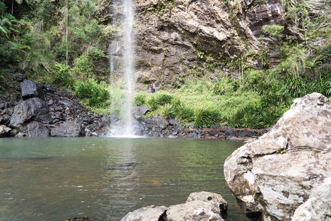 Twin Falls Circuit, Springbrook National Park - Accommodation Port Hedland 0