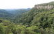 Twin Falls Circuit, Springbrook National Park - thumb 1