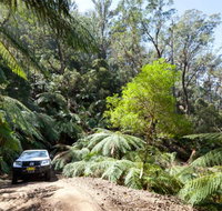 Wadbilliga Road drive - Accommodation Port Hedland