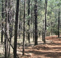 Yana-y Warruwi Walking Track - Accommodation Port Hedland