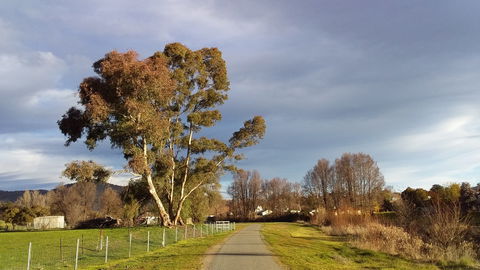 Adelong Falls Walk - Accommodation Port Hedland 0